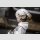 Reverse: 1999 Gift+ PVC Figur Medicine Pocket 23 cm ★★★Jeeg Best Price 09.10.2026★★★