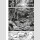 Vinland Saga Bd. 29 (Ende)