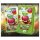 POKEMON Gem Pack Booster Pack [CN]