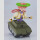 Apocalypse Hotel Plamatea Plastic Model Kit Yachiyo 15 cm ★★★Jeeg Best Price 01.10.2026★★★