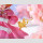 Cardcaptor Sakura: Clear Card PVC Figur 1/7 Sakura Kinomoto Siege Costume Ver. 24 cm ★★★Jeeg Best Price 20.10.2026★★★
