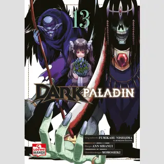 Dark Paladin Bd. 13