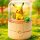POKEMON rotierendes Musikspiel ★PIKACHU★