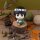 Naruto Shippuden Look Up PVC Figur Rock Lee 11 cm