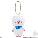BT21 Fuwa Fuwa Mascot Plüsch Anhänger Blind Box