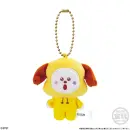 BT21 Fuwa Fuwa Mascot Plüsch Anhänger Blind Box