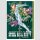 JOJOS BIZARRE ADVENTURE Part 7 ～Steel Ball Run～ vol. 9  [Hardcover]