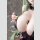 Goddess of Victory: Nikke PVC Figur 1/4 Soda: Twinkling Bunny 47 cm  ★★★Jeeg Best Price 01.12.2026★★★