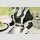 Arknights Gift+ PVC Figur 1/8 Kaltsit The Remains of Time Ver. 22 cm