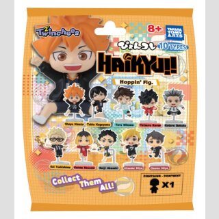 HAIKYU!! Hoppin Fig. TF
