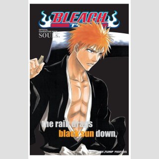 BLEACH Official Character Book ～SOULs.～