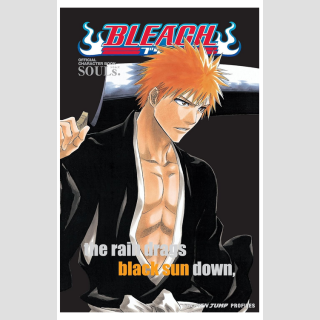 BLEACH Official Character Book ～SOULs.～