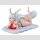 Azur Lane PVC Figur 1/7 Shimanto The Relaxing Dragon God Ver. 12 cm  ★★★Jeeg Best Price 26.11.2026★★★