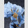 Berserk Pop Up Parade SP PVC Figuren 2er-Pack Guts (Berserker -Sane-) & Griffith (Falcon of Light)  ★★★Jeeg Best Price 19.11.2026★★★