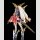 Megami Device Plastic Model Kit 1/1 Buster Doll Paladin (Reproduction) 18 cm