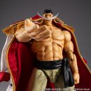 One Piece Variable Action Heroes Actionfigur White Beard Edward Newgate Ver.1.5 24 cm  ★★★Jeeg Best Price 18.11.2026★★★