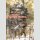 The Art of HOWLs MOVING CASTLE [Hardcover]