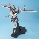 1/100 MG Strike Noir Gundam