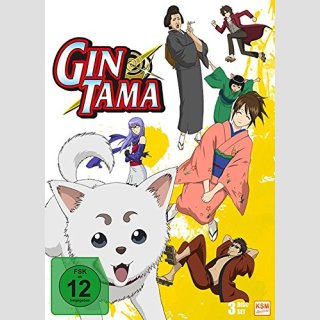 Gin Tama TV Serie DVD Box 4