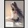 The Art of Bravely Second End Layer Artbook (Hardcover)