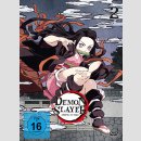 Demon Slayer: Kimetsu no Yaiba vol. 2 [DVD]
