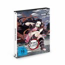 Demon Slayer: Kimetsu no Yaiba vol. 2 [DVD]