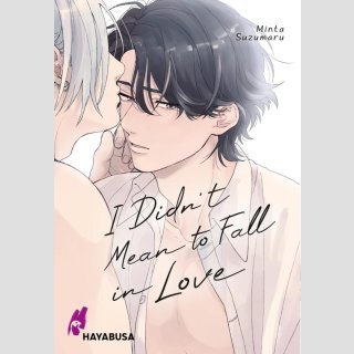 I Didnt Mean to Fall in Love (Einzelband)