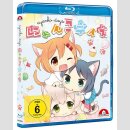 Nyanko Days Gesamtausgabe [Blu Ray]