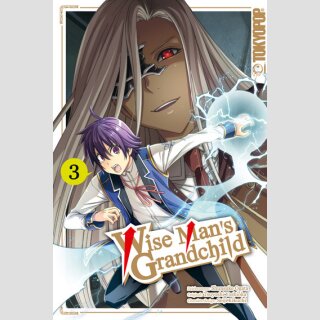 Wise Mans Grandchild Bd. 3
