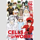 Cells at Work! Bd. 6 (Ende)