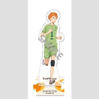 Haikyu!!: Memories Scene Full Body Acrylaufsteller [Hinata]