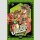 JOJOS BIZARRE ADVENTURE Part 2: Battle Tendency Bd. 1