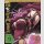 Black Clover Box 7 (2. Staffel) [Blu Ray]