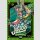 JOJOS BIZARRE ADVENTURE Part 2: Battle Tendency Bd. 2