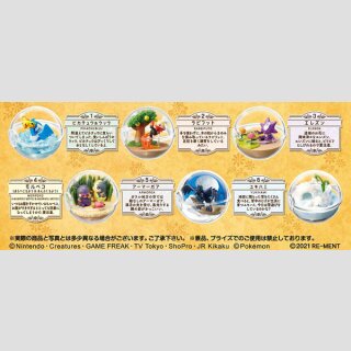 POKEMON Terrarium Collection Ex Galar Region 2 TF