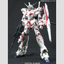 1/100 MG Unicorn Gundam HD Color + MS Cage