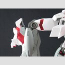 1/100 MG Unicorn Gundam HD Color + MS Cage