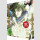 Black Clover Box 9 (2. Staffel) [DVD]