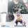 ABYSTYLE ACRYLAUFSTELLER Demon Slayer: Kimetsu no Yaiba HASHIBARA INOSUKE