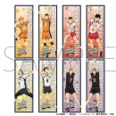 Haikyu!! To the Top Slim Poster Collection