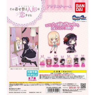MY DRESS-UP DARLING Acryl Charm Anhänger Komplett-Set
