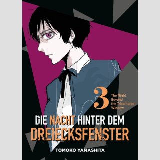 Die Nacht hinter dem Dreiecksfenster Bd. 3