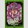 JOJOS BIZARRE ADVENTURE Part 2: Battle Tendency Bd. 4 (Ende)