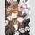 VAMPIRE KNIGHT Shojo Pearls Bd. 2