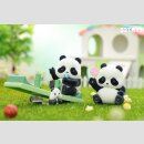 Panda Roll Kinder Garden Series TF