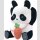 Panda Roll Kinder Garden Series TF