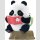 Panda Roll Kinder Garden Series TF
