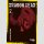 Dragon Head Perfect Editon Bd. 2
