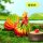 Vegetable Fairy TF vol. 2
