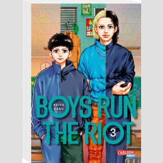 Boys Run the Riot Bd. 3